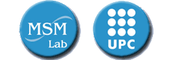 Logo MSM Lab